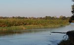 The Okavango River